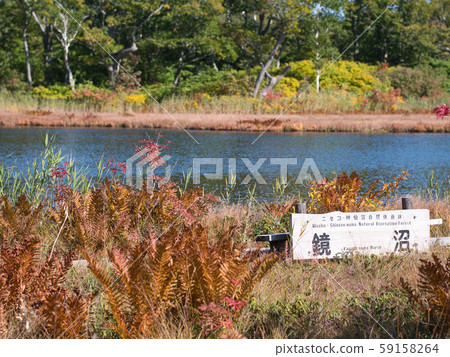 鹿沼市俱知安町 59158264