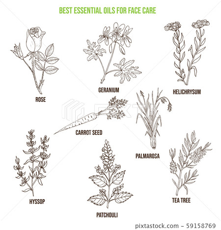 Best essential oils for face care 59158769