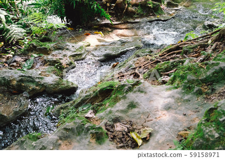 creek water stream waterfall flowing in forest 59158971