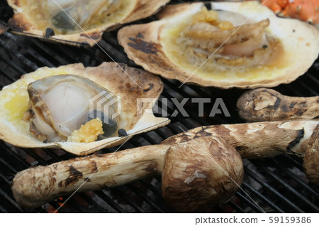 扇貝和松茸蘑菇 59159386