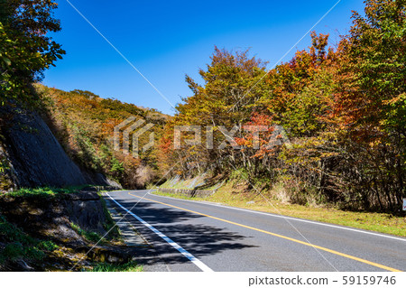 Autumn leaves Autumn leaves 59159746