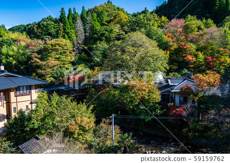 Autumn leaves Autumn leaves 59159762