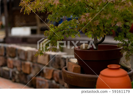 Stock Photo: jizo, tokiname, walk Stock Photo: jizo, tokiname, walk 59161179