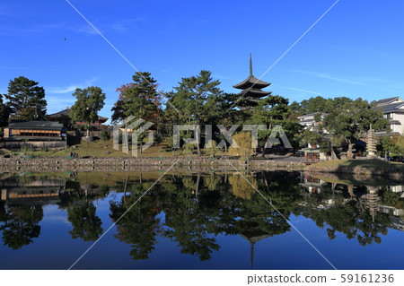 Sarusawa pond and five-storied pagoda Sarusawa pond and five-storied pagoda 59161236