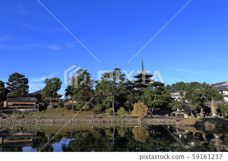 Sarusawa pond and five-storied pagoda Sarusawa pond and five-storied pagoda 59161237