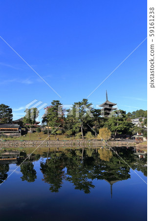 Sarusawa pond and five-storied pagoda Sarusawa pond and five-storied pagoda 59161238