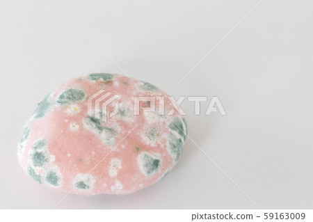 Round mold with mold 59163009