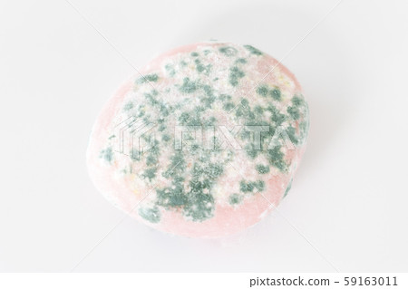 Round mold with mold Round mold with mold 59163011