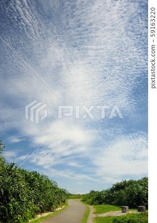 天空 59163220