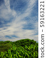 天空 59163221