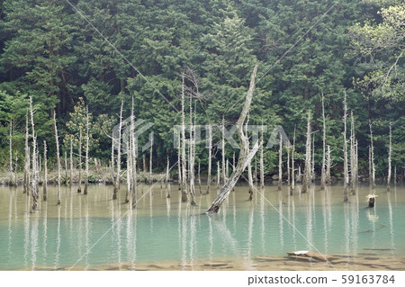 人工池塘 59163784