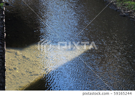 Minato City River Minato City River 59165244