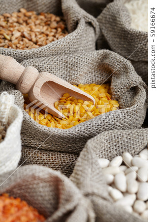 Corn kernel seed meal and grains in bags isolated 59166674