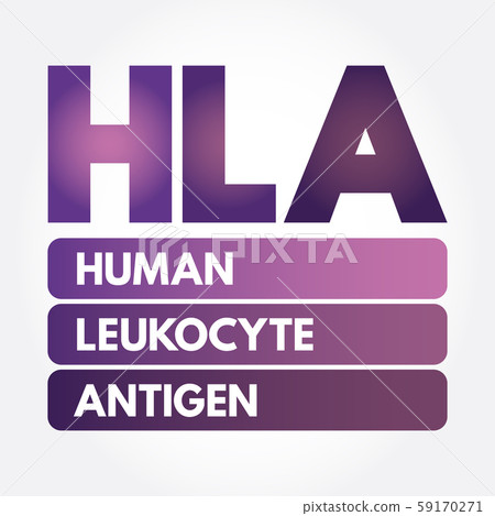 HLA - Human Leukocyte Antigen acronym HLA - Human Leukocyte Antigen acronym 59170271