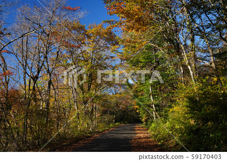 Autumn promenade (Azumayama, Hiroshima Prefecture) 59170403