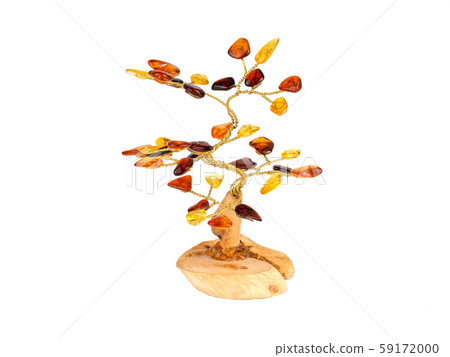 autumn amber tree autumn amber tree 59172000