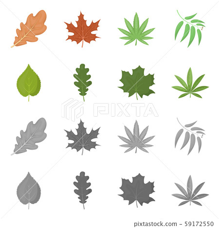 Vector illustration of vegan and organic icon. Set of vegan and fresh stock symbol for web. 59172550