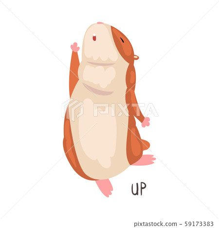 Up English Language Preposition of Place and Cute Hamster Character, Educational Visual Material for 59173383
