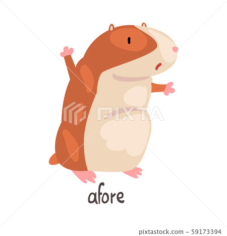 Afore English Language Preposition of Place and Cute Hamster Character, Educational Visual Material Afore English Language Preposition of Place and Cute Hamster Character, Educational Visual Material 59173394