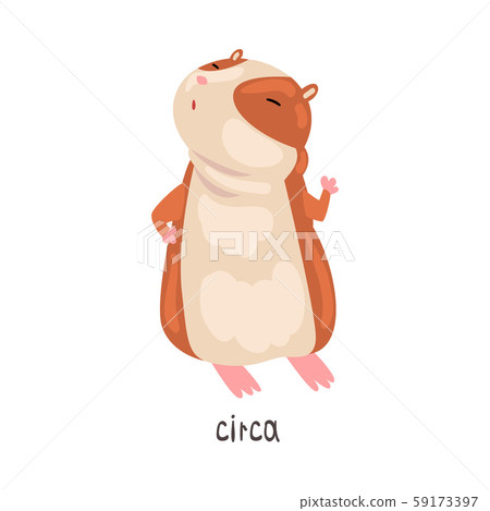 Circa English Language Preposition of Place and Cute Hamster Character, Educational Visual Material Circa English Language Preposition of Place and Cute Hamster Character, Educational Visual Material 59173397