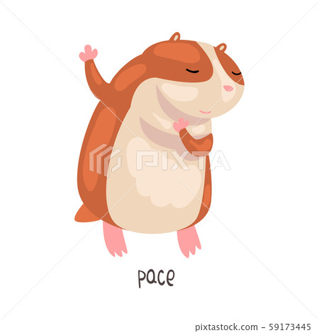 Pace English Language Preposition of Place and Cute Hamster Character, Educational Visual Material Pace English Language Preposition of Place and Cute Hamster Character, Educational Visual Material 59173445