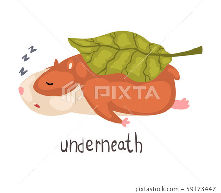 Underneath English Language Preposition of Place and Cute Sleeping Hamster Character, Educational Underneath English Language Preposition of Place and Cute Sleeping Hamster Character, Educational 59173447