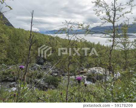Lapland nature at Kungsleden hiking trail with Lapland nature at Kungsleden hiking trail with 59178209