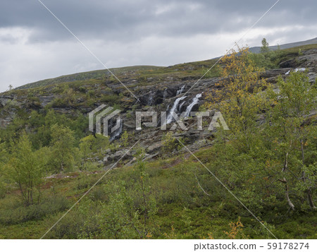 waterfall cascade, birch tree forest and 59178274