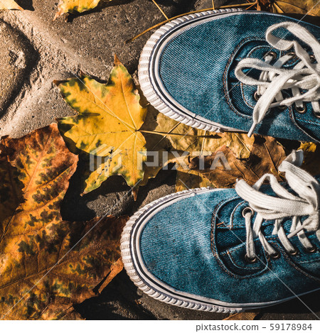 Blue sneakers on a background of yellow autumn leaves. 1:1 aspect ratio. 59178984