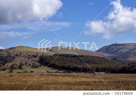 Shinshu, Kirigamine, Shimosuwa Town, Suwa-gun, Nagano Prefecture, Yashima Wetland 59179609