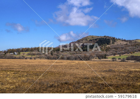 Shinshu, Kirigamine, Shimosuwa Town, Suwa-gun, Nagano Prefecture, Yashima Wetland 59179618
