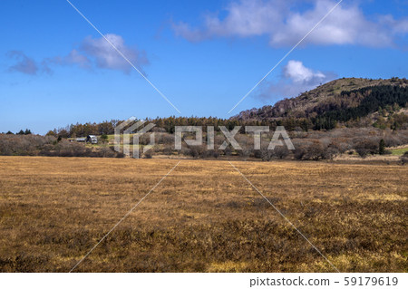 Shinshu, Kirigamine, Shimosuwa Town, Suwa-gun, Nagano Prefecture, Yashima Wetland 59179619