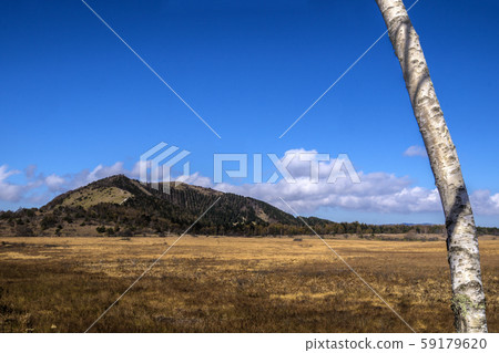 Shinshu, Kirigamine, Shimosuwa Town, Suwa-gun, Nagano Prefecture, Yashima Wetland Shinshu, Kirigamine, Shimosuwa Town, Suwa-gun, Nagano Prefecture, Yashima Wetland 59179620