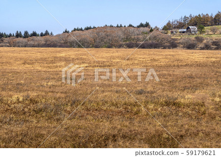 深野縣長野縣Su訪郡下wa訪町下ig町信州信州 59179621