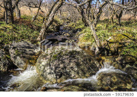 Shinshu, Kirigamine, Shimosuwa-cho, Suwa-gun, Nagano Shinshu, Kirigamine, Shimosuwa-cho, Suwa-gun, Nagano 59179630