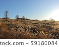 Kirigamine Meadow, Grove and Sky 59180084