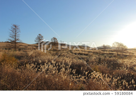 Kirigamine Meadow, Grove and Sky Kirigamine Meadow, Grove and Sky 59180084