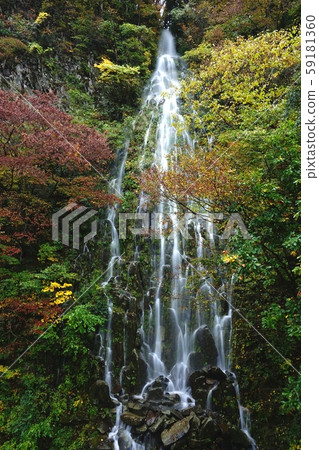 Tarutaki, Nagano Prefecture Kijimadaira Tarutaki, Nagano Prefecture Kijimadaira 59181360