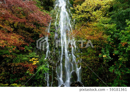 Tarutaki, Nagano Prefecture Kijimadaira Tarutaki, Nagano Prefecture Kijimadaira 59181361