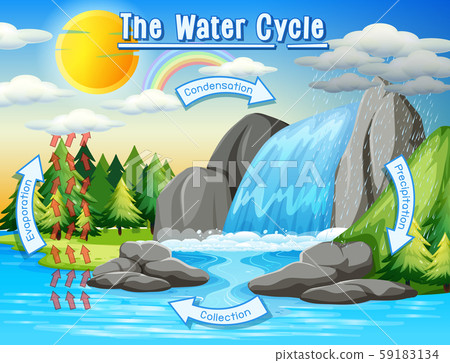 Water cycle process on Earth - Scientific Water cycle process on Earth - Scientific 59183134