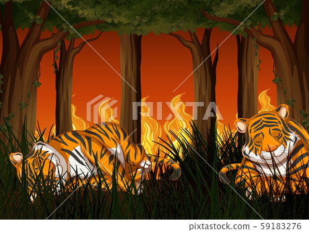 Deforestation scene with tiger and wildfire 59183276