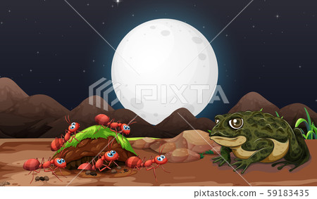 Nature scene with ants and toad at night 59183435