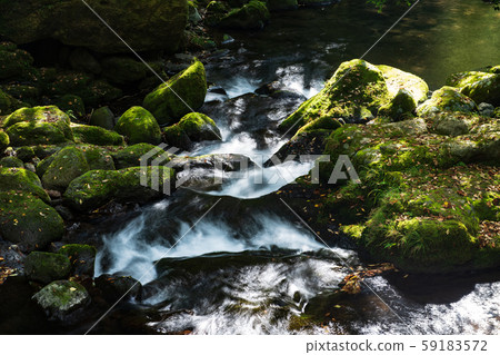 Kikuchi Gorge 59183572