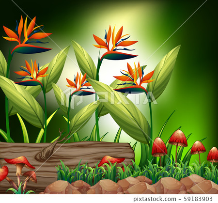Background scene with nature theme 59183903