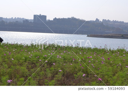 Han River Scenery Han River Scenery 59184093