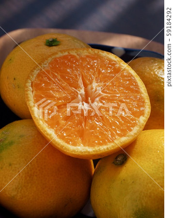 Fresh Fruits of Korea 59184292