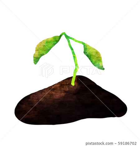 Withering plant weeding Withering plant weeding 59186702