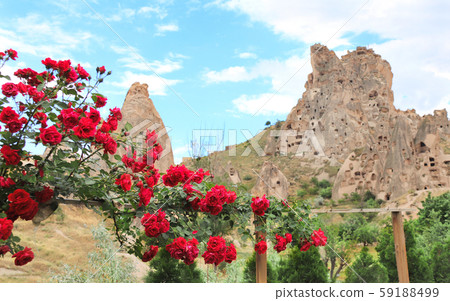 Blooming rose and carved houses, Pigeon Valley, 59188499