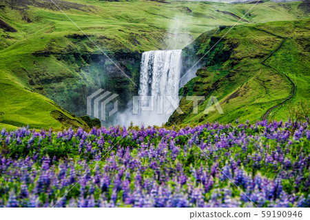Skogafoss Waterfall in Iceland in Summer. Skogafoss Waterfall in Iceland in Summer. 59190946