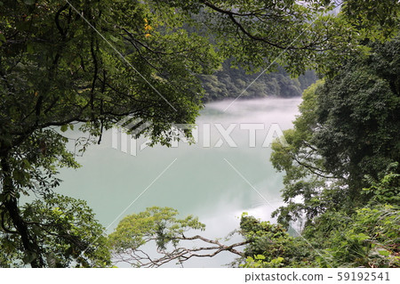 Fog cloud Fog cloud 59192541